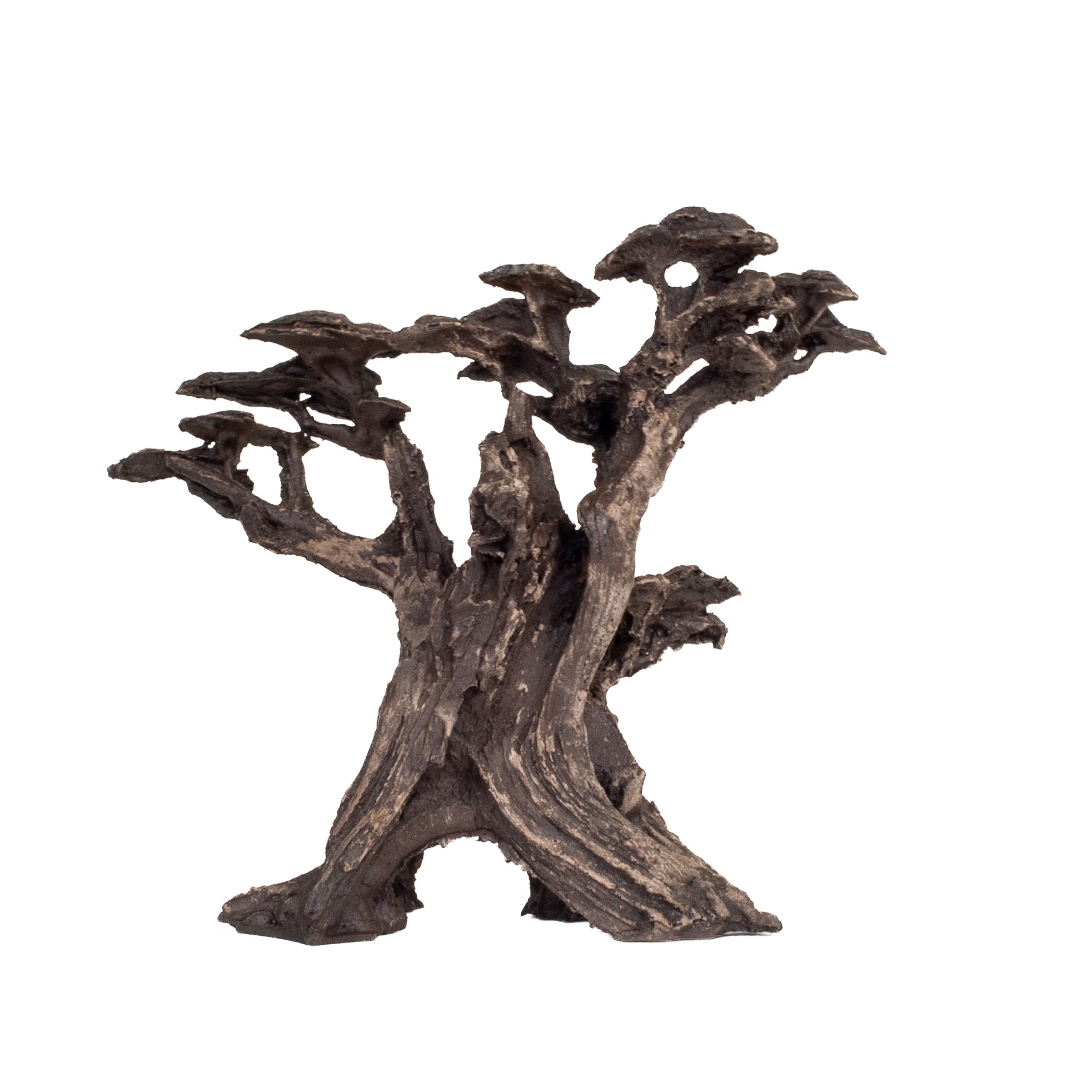 AQPET ZEN BONSAI IN RESINA 17