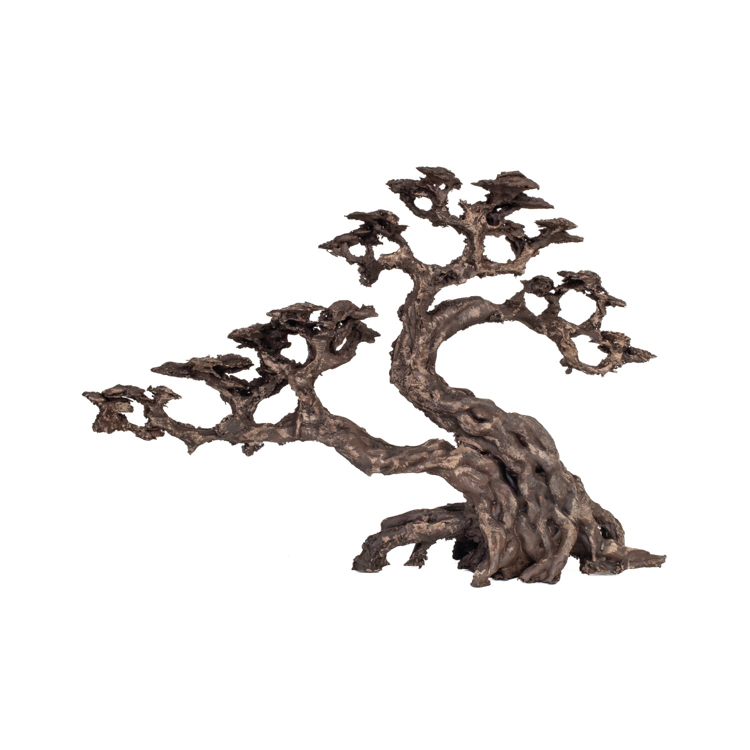 AQPET ZEN BONSAI IN RESINA 18