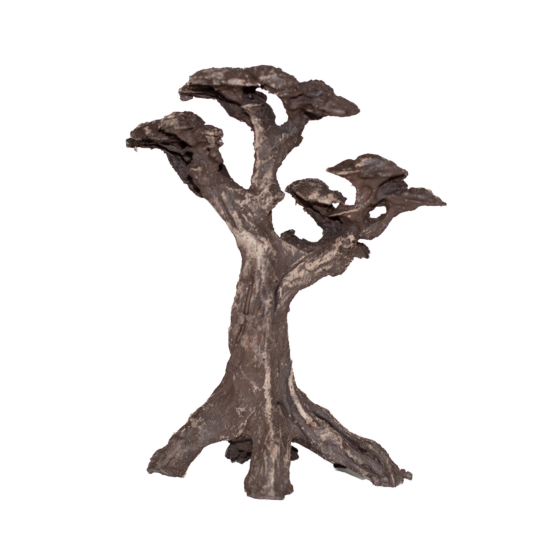 AQPET ZEN BONSAI IN RESINA 8
