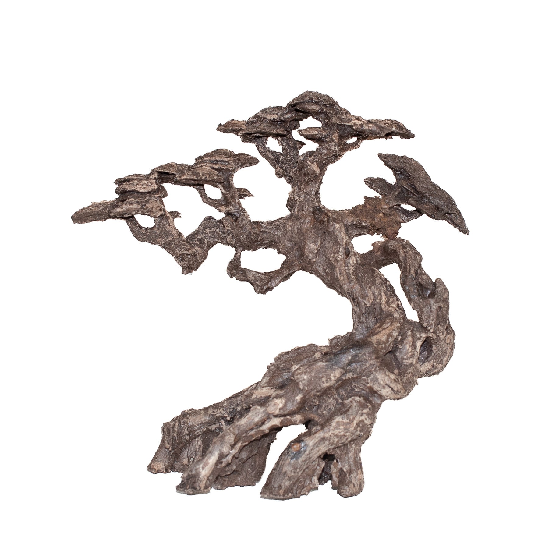 AQPET ZEN BONSAI IN RESINA 9