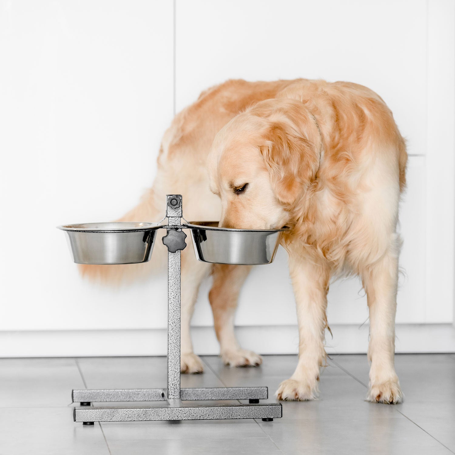 AQPET FRIENDS GNAMMY SUPPORTO H REGOLABILE CON 2 CIOTOLE