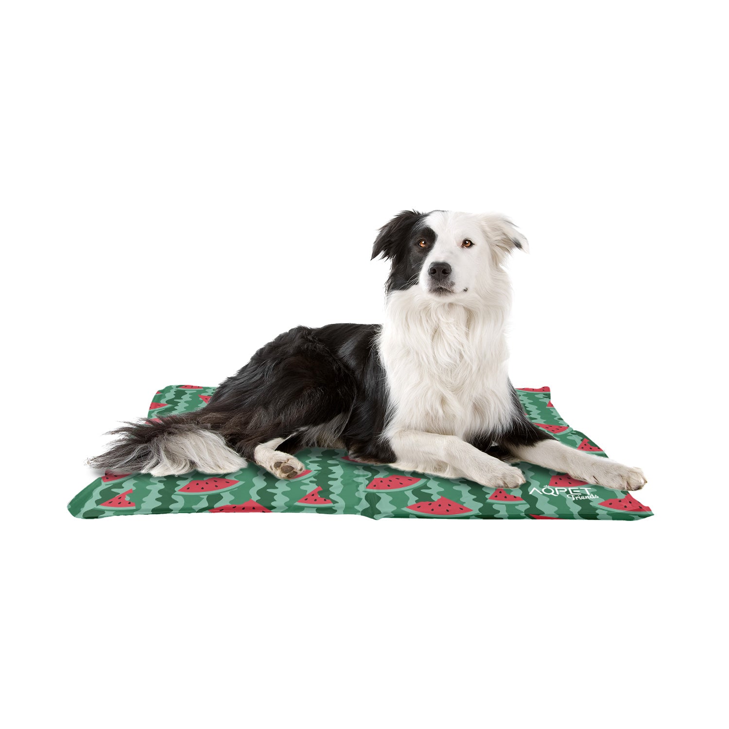 AQPET FRIENDS FRESH TAPPETINO REFRIGERANTE - FRUIT