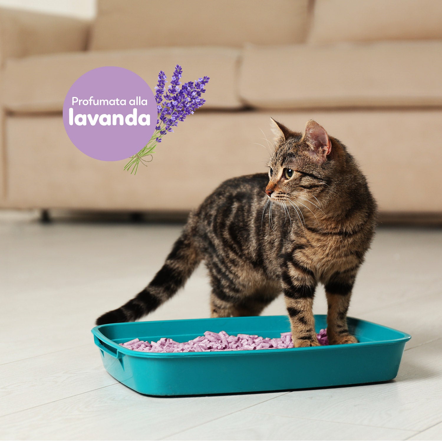 AQPET FRIENDS CATTY GREEN LETTIERA ALLA SOIA PROFUMAZIONE LAVANDA 6LT