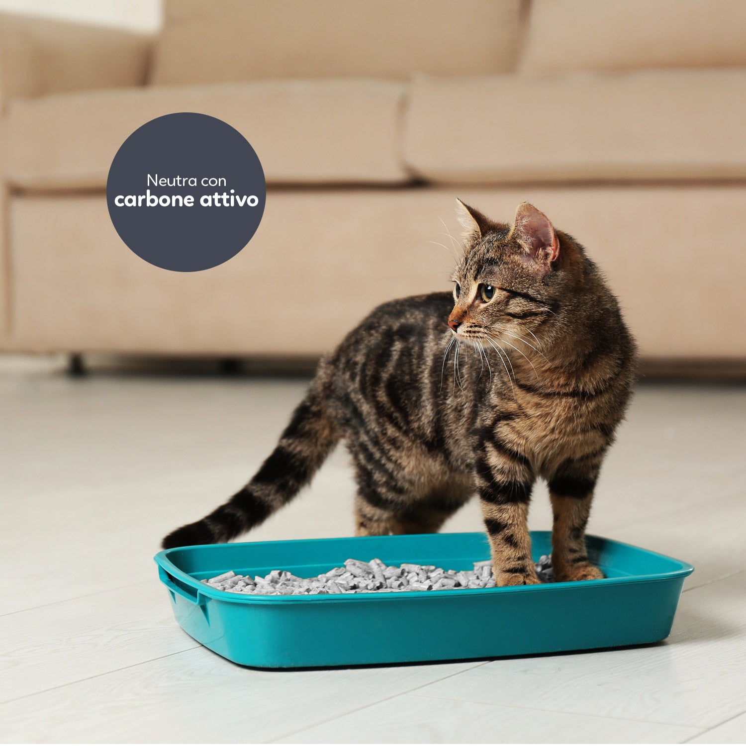AQPET FRIENDS CATTY GREEN LETTIERA ALLA SOIA PROFUMAZIONE CARBONE ATTIVO 6LT