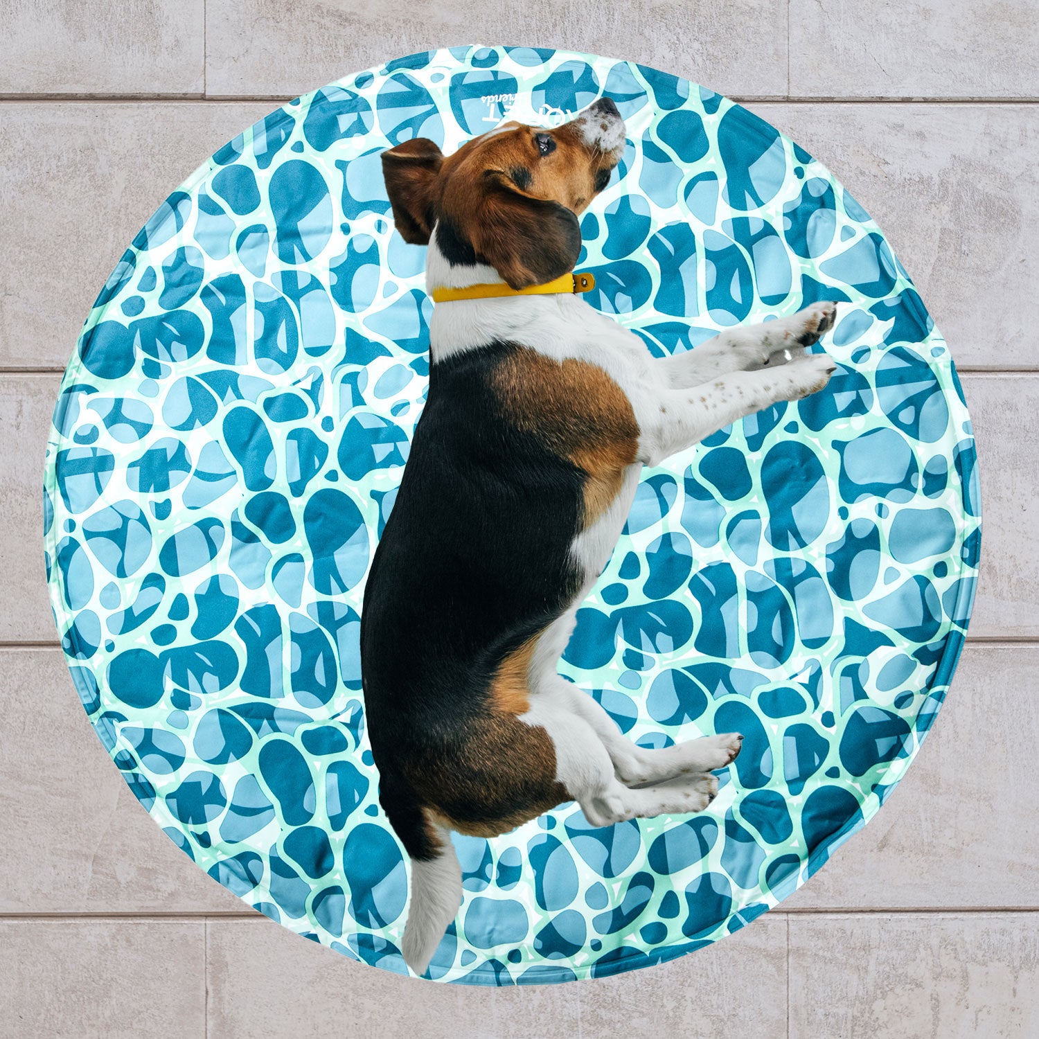 AQPET FRIENDS FRESH ROUND REFRIGERANTE 60 CM DIAMETRO - SEA