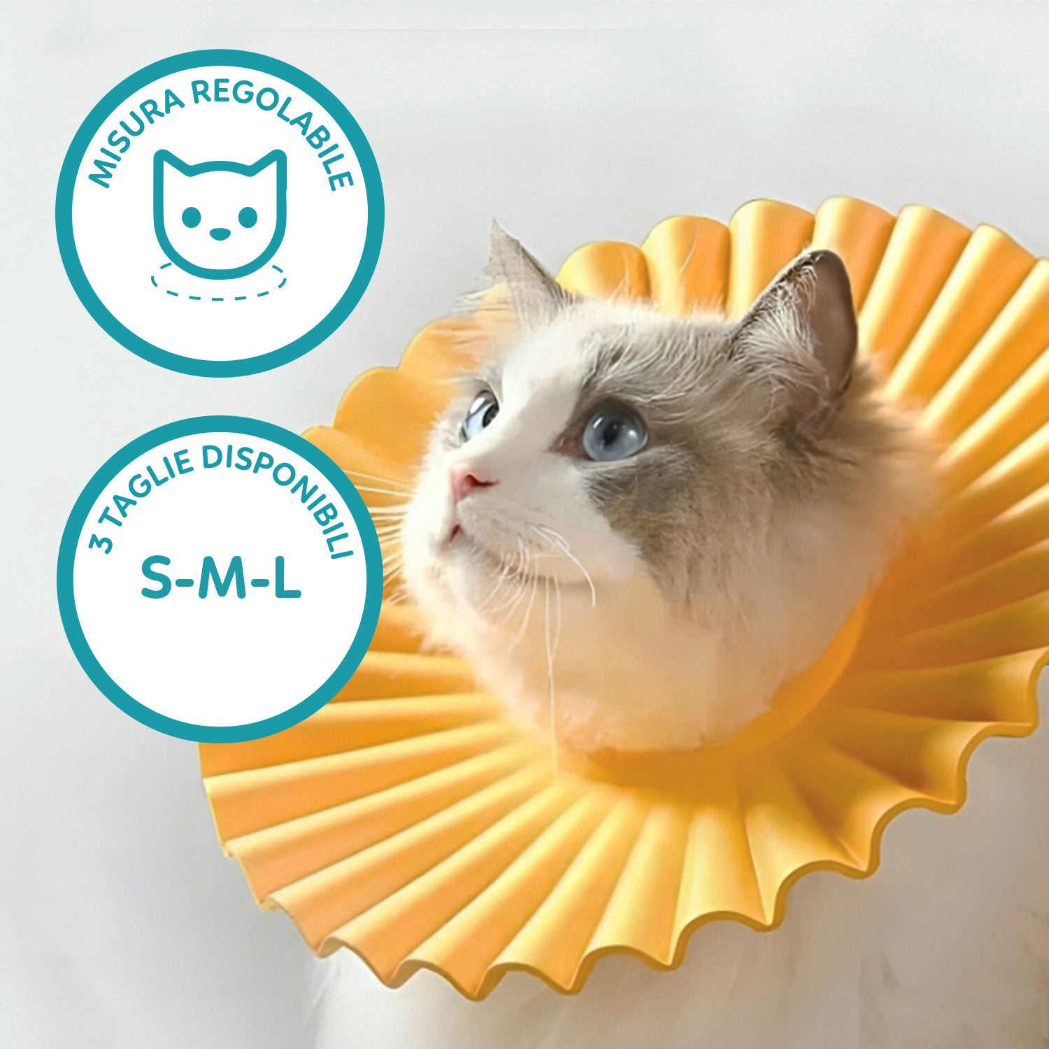 AQPET FRIENDS DAISY COLLARE ELISABETIANO IN PLASTICA MORBIDA DOPPIO STRATO