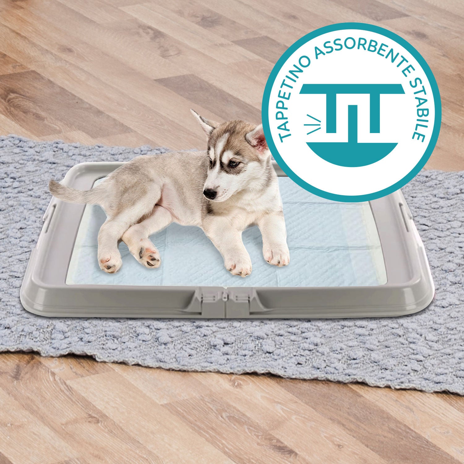 AQPET FRIENDS BAUBOX LETTIERA PIEGHEVOLE PER CANI 60X90 CM