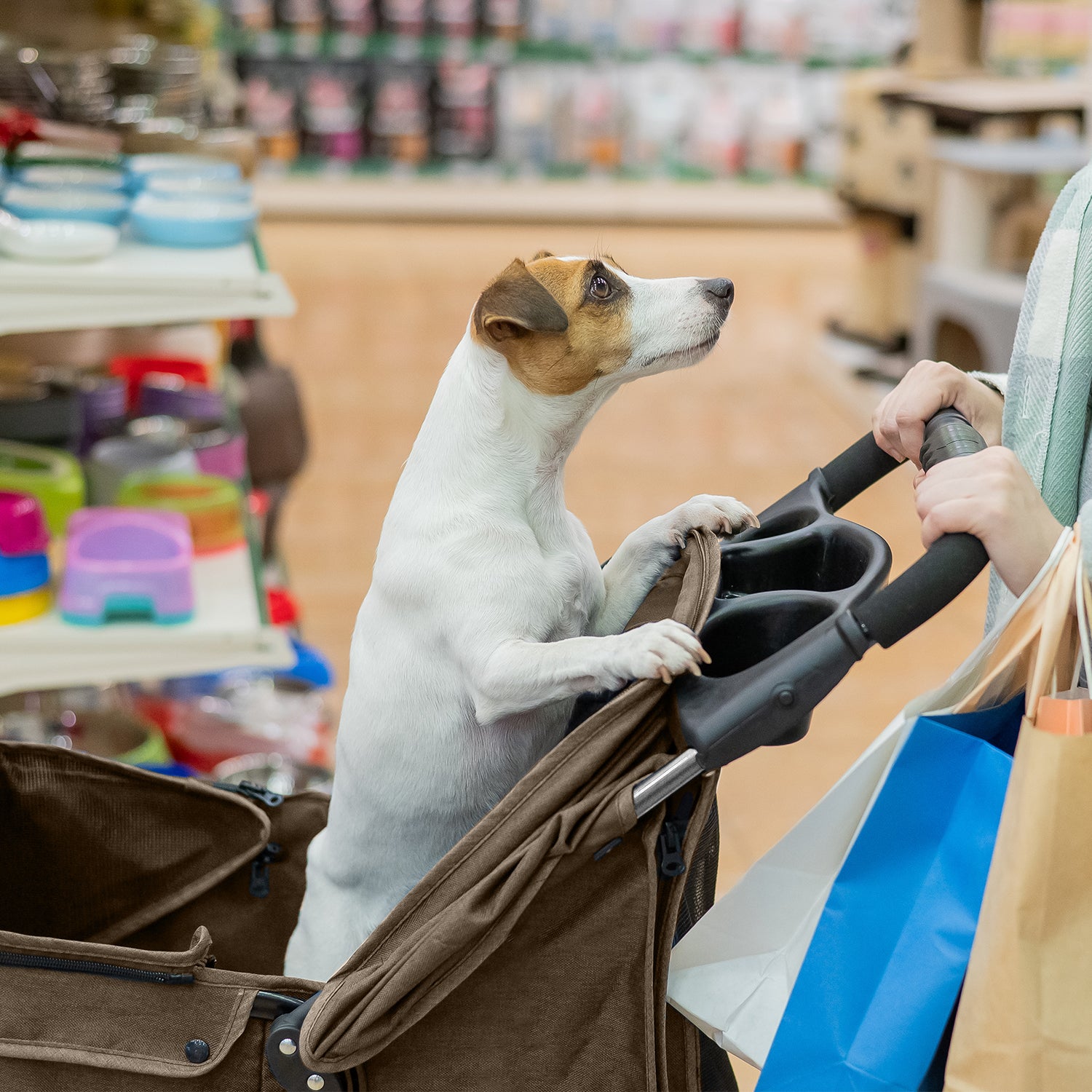 AQPET FRIENDS PETBUGGY PASSEGGINO COMODO E PRATICO PER CANI TAGLIA MEDIA/ PICCOLA