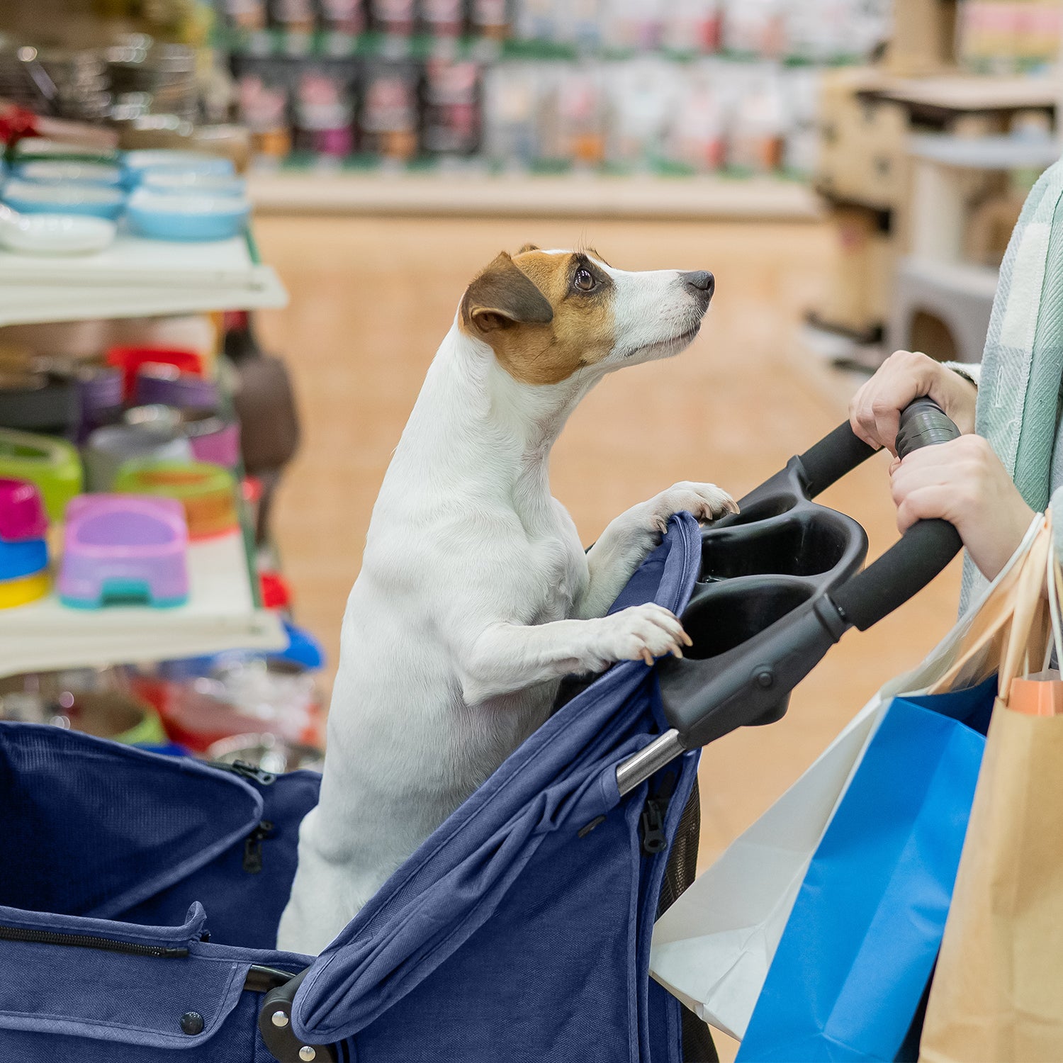 AQPET FRIENDS PETBUGGY PASSEGGINO COMODO E PRATICO PER CANI TAGLIA MEDIA/ PICCOLA