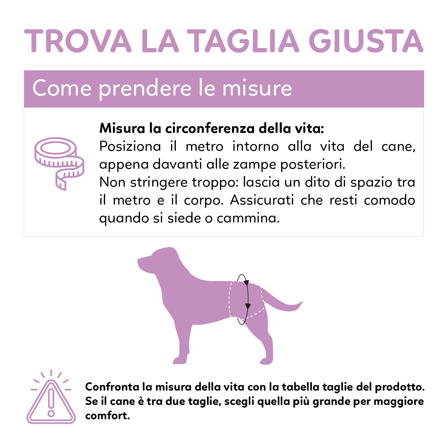 AQPET FRIENDS Nappy Panties Pannolini A Fascia Per Cani Femmina 30 Pezzi Assorbenti Igiene Quotidiana