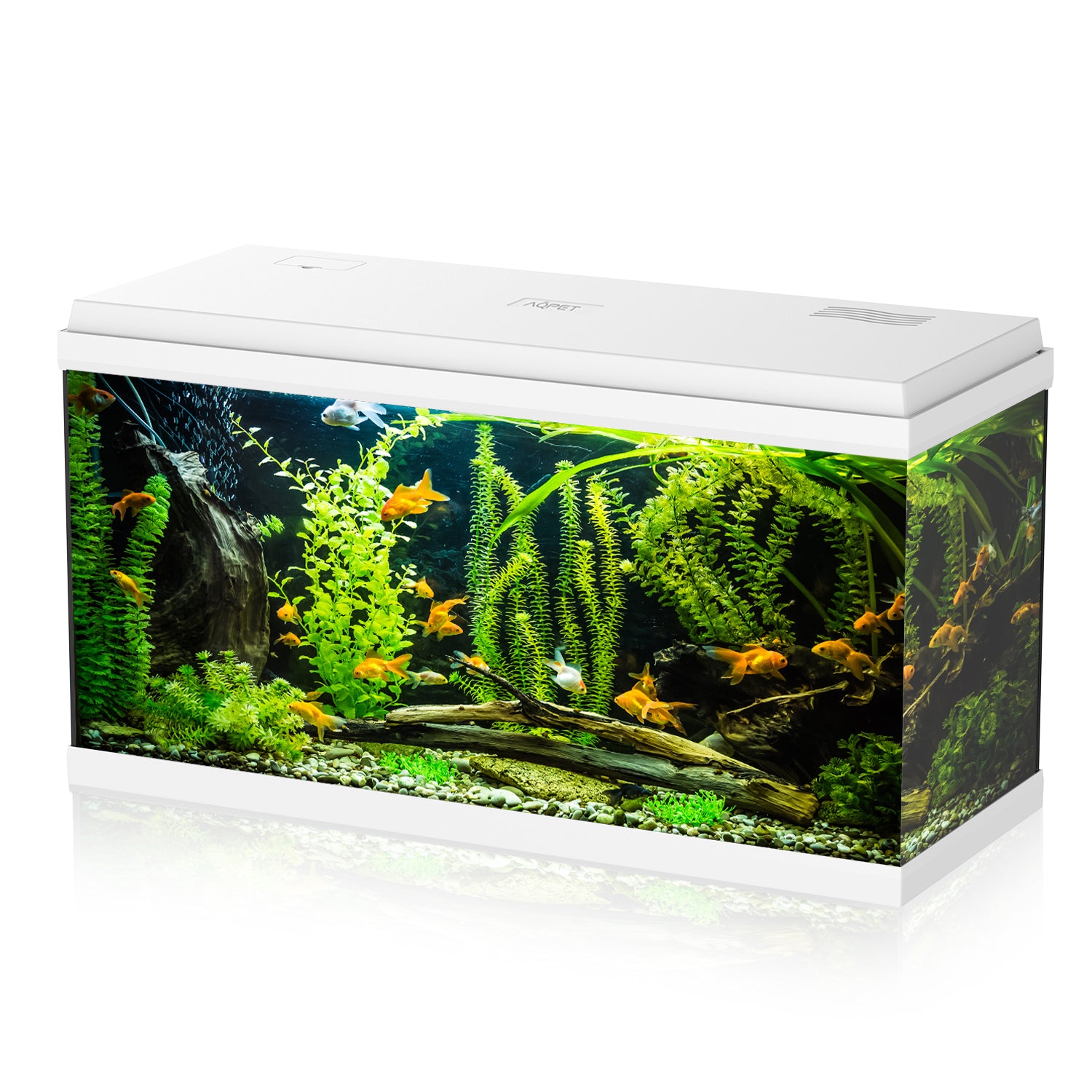 AQPET ACQUARIO SIMPLY LED 100 BIANCO COMPLETO DOPPIA LUCE FILTRO E RISCALDATORE - 80X32X45 H CM