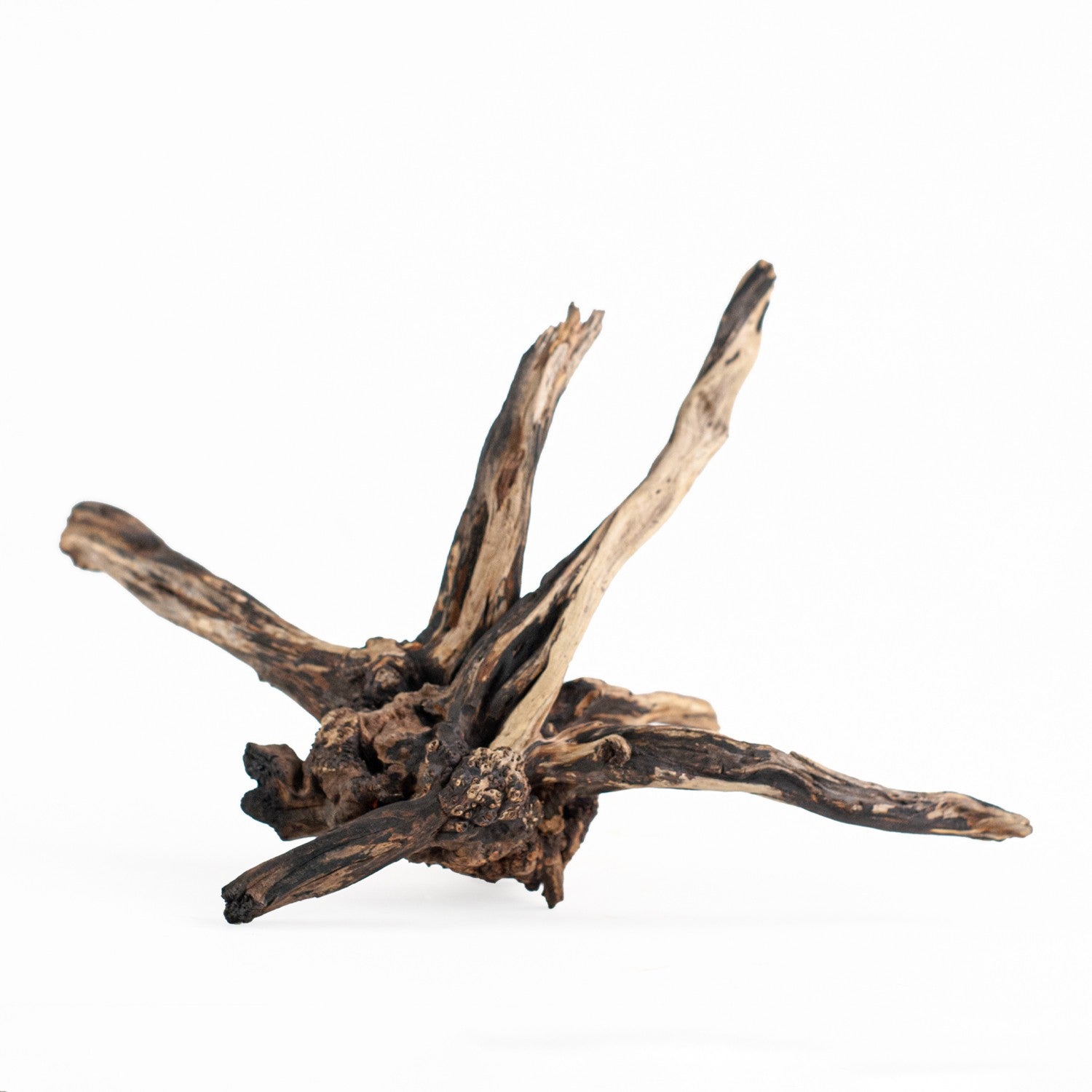 AQPET ZEN WOOD BLACK SLIM